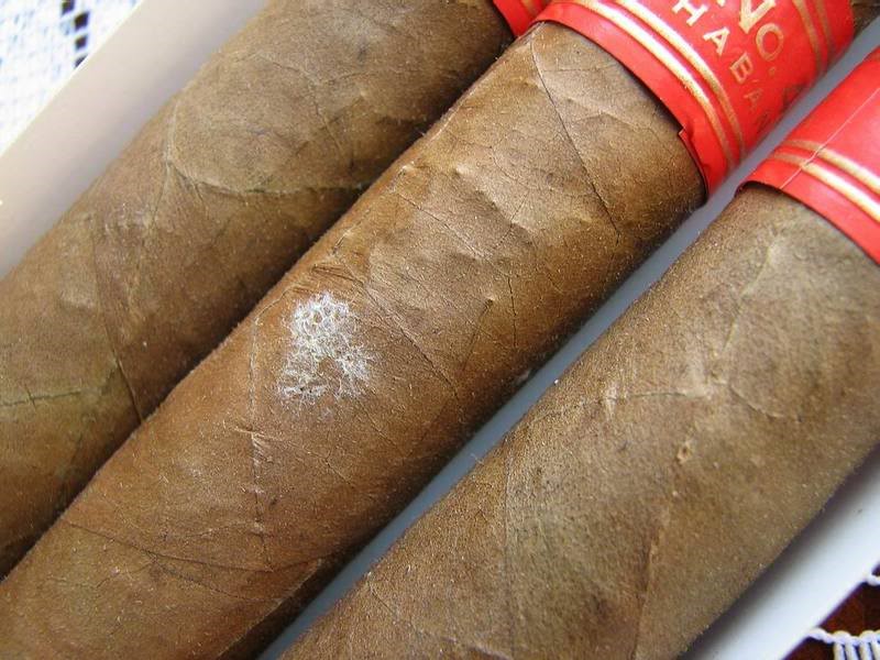 XÌ GÀ BỊ MỐC HAY LÊN TUYẾT - cigarvietnam.com.vn