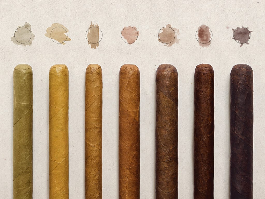 Cigar Trivia: Wrapper Colors | Cigar Journal