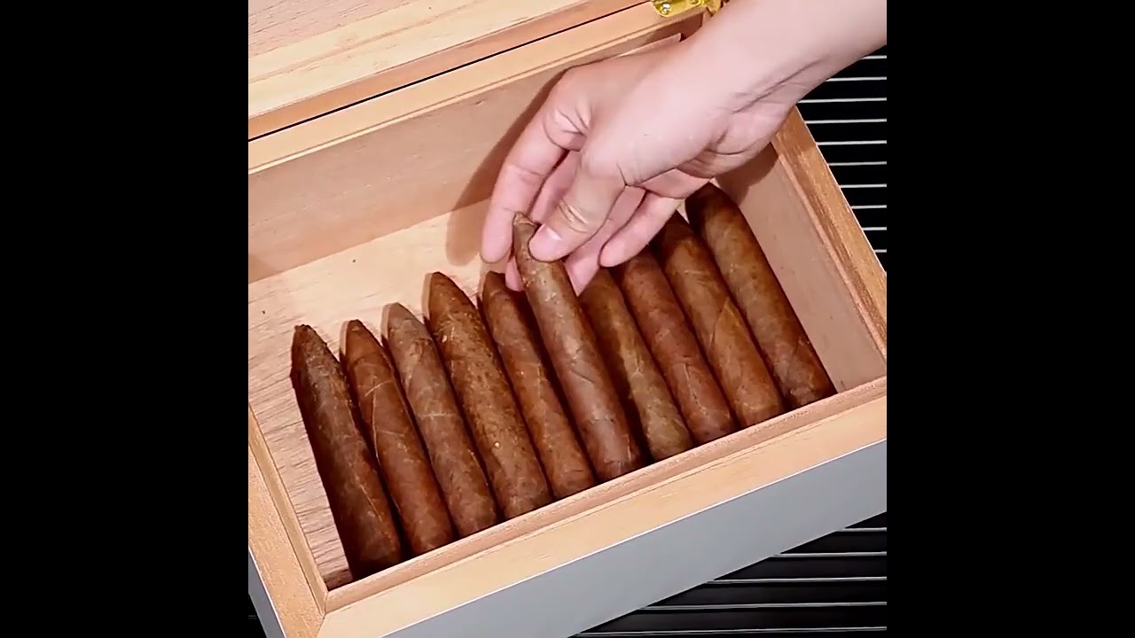 Hộp gỗ tuyết tùng đựng xì gà màu trắng tối giản HC135