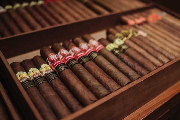 Nguyên nhân và cách khắc phục Cigar bị mốc đơn giản và hiệu quả nhất