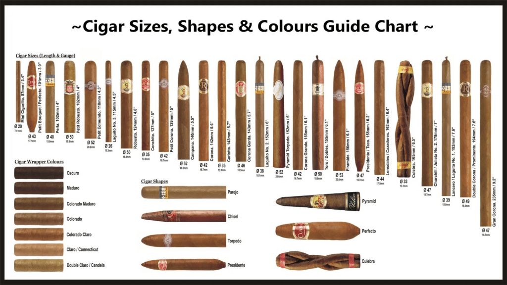 Why are There so Many Cigar Shapes? - The Cigar Store