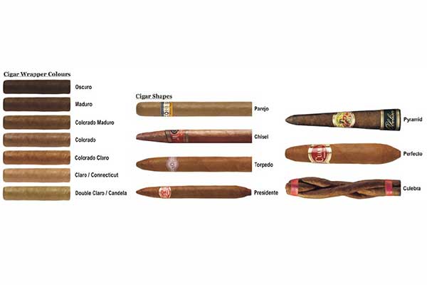 Lý do cigar có nhiều màu khác nhau - Ambe.vn Chuyên phụ kiện đẹp