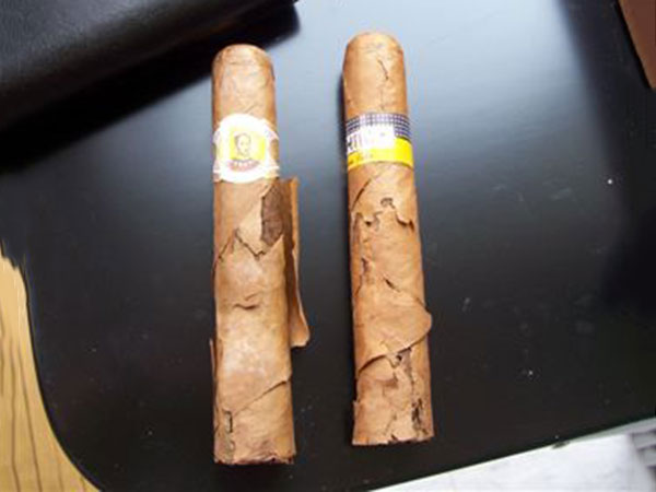 Xì gà bị nứt và rách lá ngoài, nguyên nhân và cách khắc phục - Ambe.vn