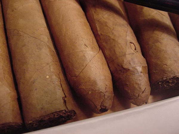 Xì gà bị nứt và rách lá ngoài, nguyên nhân và cách khắc phục - Ambe.vn